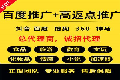 百度SEO优化公司案例详解：如何制定有效的推广计划